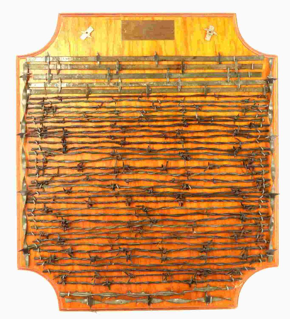 LARGE COLLECTION 19TH CENT RANGE WAR BARBED WIRE: Large collection of assorted antique 19th century range war barbed wire cuts mounted on finished wood plank display. Attached plaque reads "Dr. Tom Haggai Adobe Walls Area Council Pampa Texas 1975". R