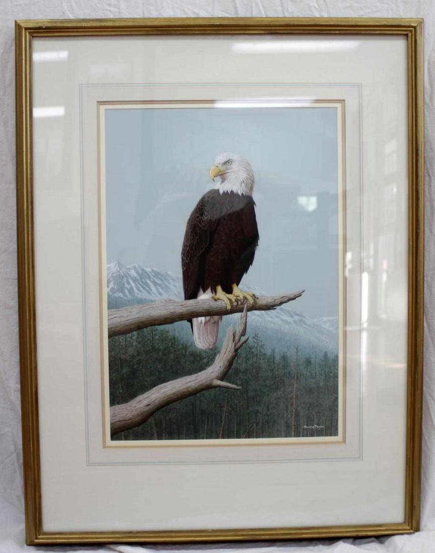 HOWARD PARFITT ACRYLIC BALD EAGLE DENALI: World renowned wildlife artist Howard Parfitt of the U.K, known for tigers, ducks, Birds of Prey and others. Framed acrylic 14 by 20 inches with professional frame 20 by 34, signed lower right. Top of