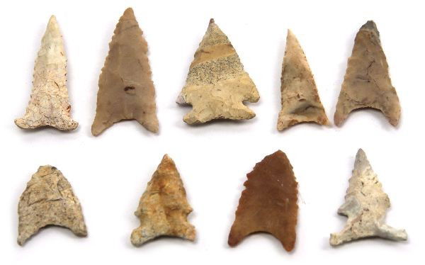 MIDDLE ARCHAIC TO WOODLAND ARROWHEAD LOT: A collection of Archaic to Woodland period points all found in the south Georgia region. Includes Tallahassee, Bolen beveled and more. Average size is 1 to just over 2 inches.