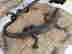 item-127801201=2