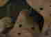 item-9433052=4