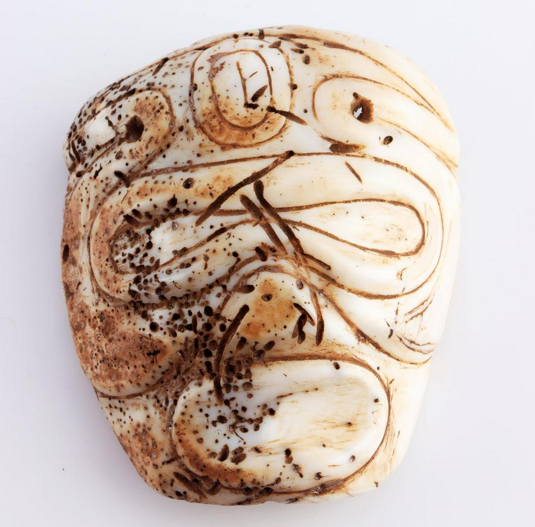 TAINO RARE SHELL GUAIZA: Taino. Rare Shell Guaiza. The face is defined by relief carved eye and surrounds as well as embossed curvilinear designs. Guaizas were given from one caciques to another as a bond of brotherhood of tr