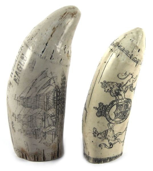 TWO FAUX SCRIMSHAW WHALES TEETH: Two faux ivory whale's teeth with scrimshaw nautical scenes. "The Brandenburg" and "The Whaler Eagle." Very good condition.