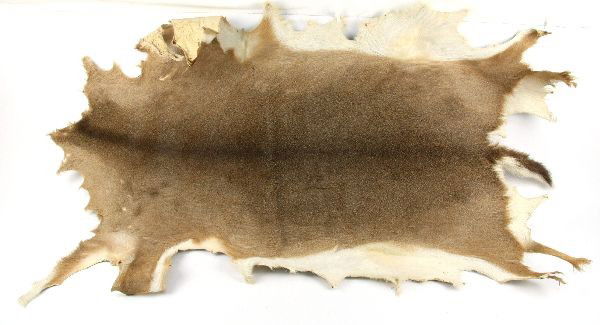 TRADITIONAL NATIVE AMERICAN PAINTING ON DEER HIDE - 4