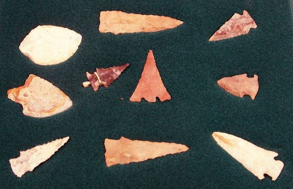 FLORIDA ARROWHEAD LOT BOLEN HERNANDO & MORE: Framed collection of arrowheads from long time collector, including Bolen, Bolen Bevel, Bolen Plain, Hernando and more. Size ranges from 3 inches to 1.5 inches. One has 14K gold wire to make into a pe