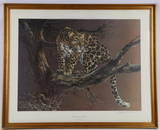 CHEETAH SIGNED LITHOGRAPH DOUGLAS VAN HOWD LE