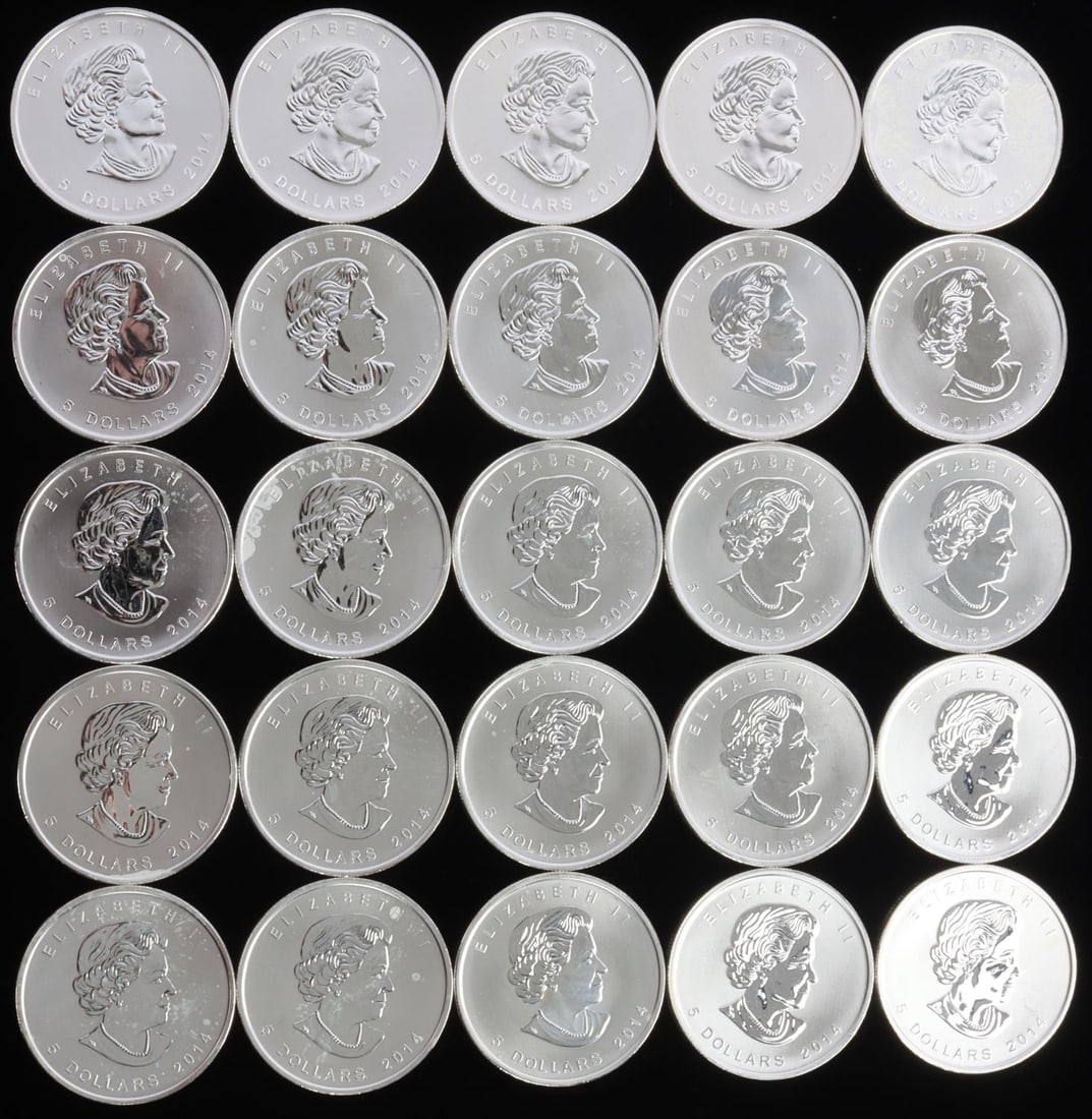 CANADA BALD EAGLE $5 SILVER COIN ROLL OF 25: Twenty five 2014 Canada 1 oz. .9999 Fine Silver Bald Eagle from the Birds of Prey Series coins. Total of 25 troy ounces. This lot has a reserve.
