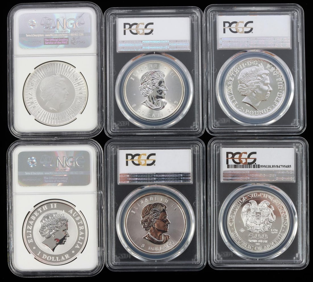 INTERNATIONAL MODERN SILVER 1 OZ COIN COLLECTION: Lot if 6 graded fine silver 1 ounce coins from around the world includes the following: 2016 P Australia Kangaroo First Release NCG MS70, 2013 Great Britain Britannia, 2016 Canada Maple Leaf PCGS MS69