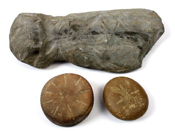 MIXED NATIVE AMERICAN STONE TOOLS & FISH HOOKS - 3