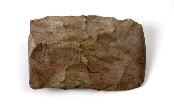 MIXED NATIVE AMERICAN STONE TOOLS & FISH HOOKS - 4