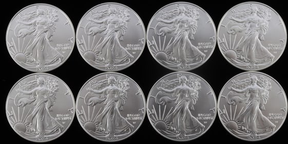 EIGHT 1 OZ AMERICAN SILVER EAGLE $1 COINS 2024