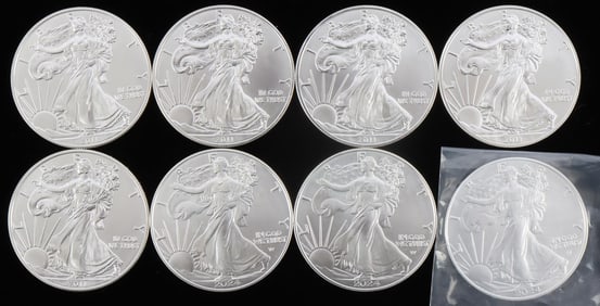 8 1 OZT .999 FINE SILVER AMERICAN EAGLE COIN LOT