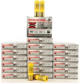 100 RDS WINCHESTER 20 GA 2 3/4 INCHES AMMO