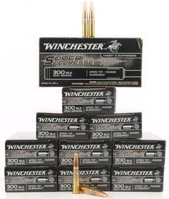 200 RDS WINCHESTER 300 BLK 200 GR AMMO