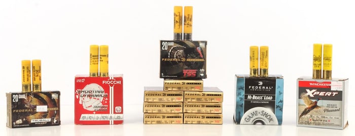 120 RDS 20 GAUGE BIRD & TARGET SHOTSHELLS AMMO LOT