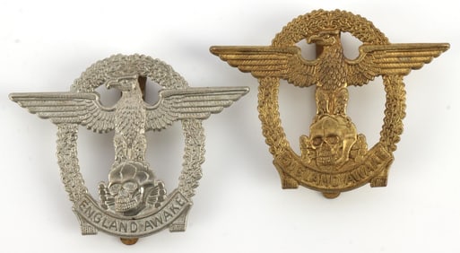 LOT OF 2 WWII ENGLAND AWAKE WAR BADGES