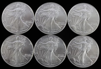 LOT 6 2024 SILVER AMERICAN EAGLE 1 OZT OUNCE COINS