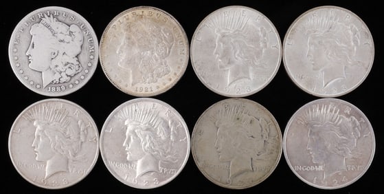 LOT OF 8 MORGAN AND PEACE SILVER DOLLARS 90%