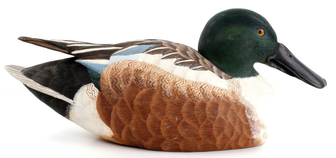 FINE HAND CARVED NORTHERN SHOVELER DUCK DECOY: Choice hand-carved duck decoy in the shape of a Northern Shoveler. This is an excellent example of the duck carving craft, with delicate features and a strong sense of naturalistic composition. Tail a