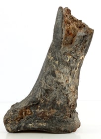 PETRIFIED MASTODON OR MAMMOTH BONE