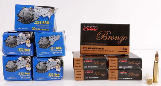 200 RDS .223 REM SILVER BEAR & PMC BRONZE AMMO