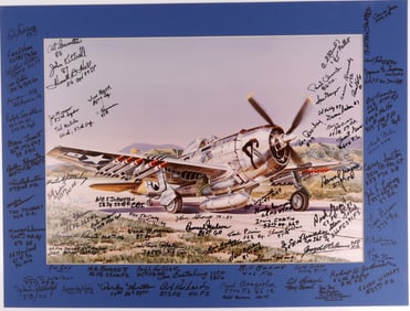 HUGH POLDER USAF WWII P-47 VETERAN SIGNED PAINTING