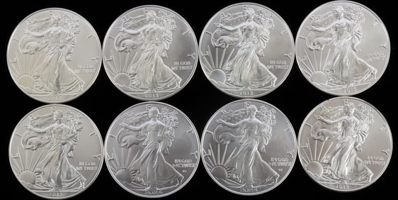 LOT 8 2013 & 2 2024 SILVER AMERICAN EAGLE BU COINS