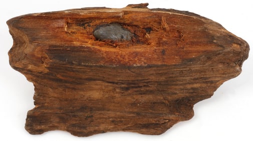 CIVIL WAR MINNIE BALL BULLET IN TREE WAR LOG