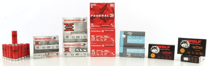 175 RDS 12 GAUGE BUCKSHOT SLUGS & BIRD LOAD AMMO