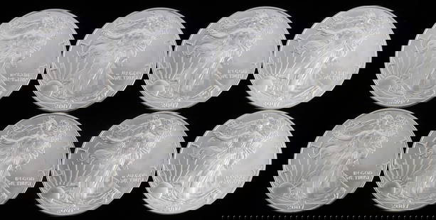 LOT 8 2007 1 OZT OUNCE SILVER AMERICAN EAGLE COINS: Lot of EIGHT (8). All brilliant uncirculated. This lot reserved at melt.