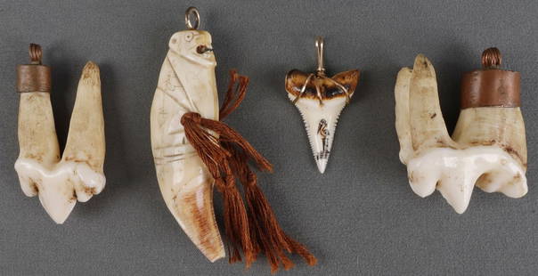 4 SCRIMSHAW BEAR SHARK TOOTH LOT: Lot of FOUR (4). Shark tooth 1 1/4 inch not counting loop, scrimshaw bear tooth is 3 inches not counting loop and has old repair, the bear molars are 2 and 2 1/8 inch. This lot has a reserve.