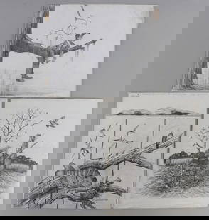 LOT 3 J. LIVINGSTON WILDLIFE ARTIST ORIG DRAWINGS: Lot of THREE (3) total. Two Are signed and dated 1989, one is not. Each measures 10 X 12 inches. Well known illustrator for sports writer such as Charley Dickey. This lot has a reserve.
