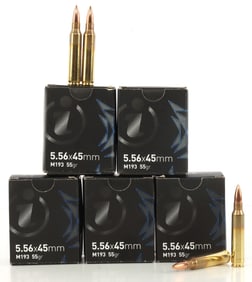 100 ROUNDS IGMAN 5.56 X 45MM AMMUNITION LOT 53 GR.