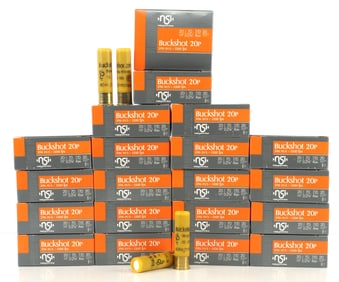 200 ROUNDS NSI 20 GAUGE 2 3/4 4 BK 20 PELLET