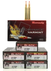 120 RDS .223 REM 62GR FMJ HORNADY RIFLE AMMUNITION