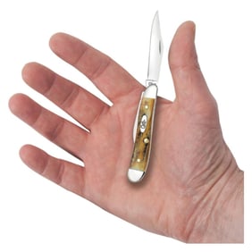 CASE XX GENUINE SAMBAR STAG PEANUT POCKET KNIFE