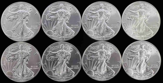 8 2013 SILVER 1 OZT OUNCE AMERICAN EAGLE COIN LOT