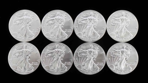 8 2013 SILVER 1 OZT OUNCE AMERICAN EAGLE COIN LOT
