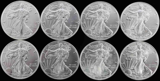 8 2021 SILVER 1 OZT OUNCE AMERICAN EAGLE COIN LOT