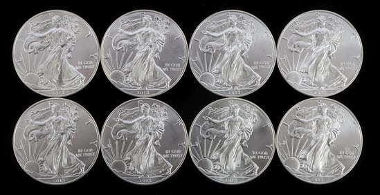 8 2013 1 OZT OUNCE SILVER AMERICAN EAGLE COIN LOT