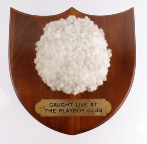 PLAYBOY CLUB MOUNTED BUNNY TAIL HUGH HEFNER