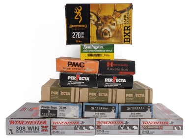 200+ RDS RIFLE AMMO .308 WIN .243 WIN .243 WIN