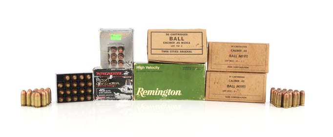 225+ RDS .45 ACP TRAINING & DEFENSE AMMO