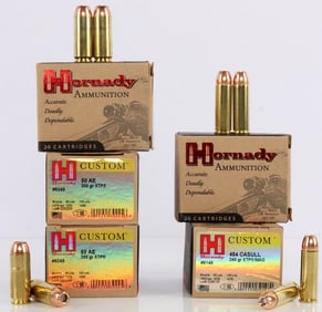 100 RDS .50 AE 300GR JHP & .454 CASULL 240GR JHP