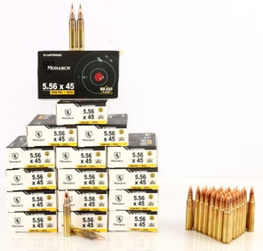 500+ RDS 5.56X45MM 55GR FMJ M193 BRASS CASE AMMO