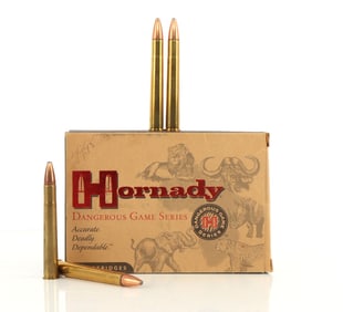 20 ROUNDS  9.3X74R HORNADY DANGEROUS GAME SERIES