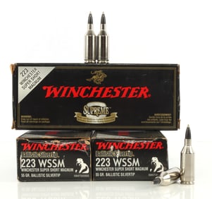 60 RDS 223 WESSON WINCHESTER BALLISTIC SILVERTIP