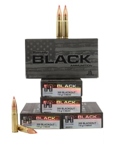 100 ROUNDS  300 BLACKOUT 110 GRAIN HORNADY