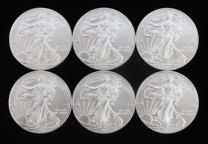 6 2013 1 OZT OUNCE SILVER AMERICAN EAGLE COIN LOT