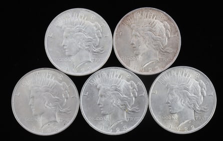 5 BRILLIANT UNCIRCULATED PEACE SILVER DOLLAR COINS